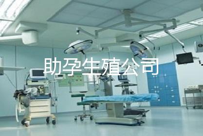 助孕生殖公司