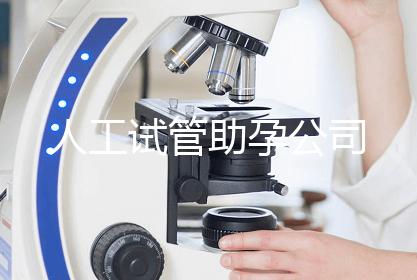 人工试管助孕公司