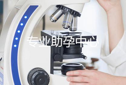 专业助孕中心